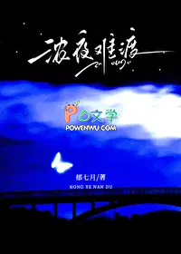 浓夜难渡破镜重圆小说免费阅读